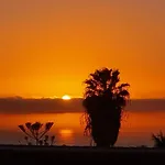 Vina Del Mar *
