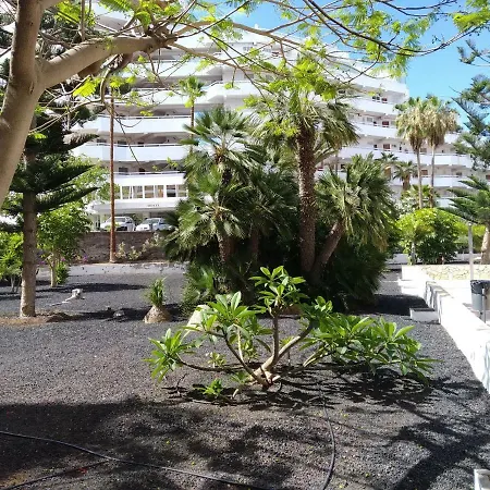 Апартаменты Vina Del Mar *