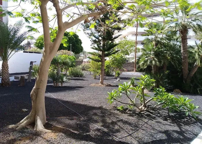 Vina Del Mar * 플라야데라스아메리카스