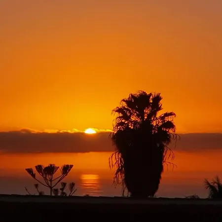 Vina Del Mar *
