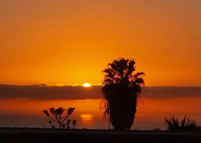 Vina Del Mar *
