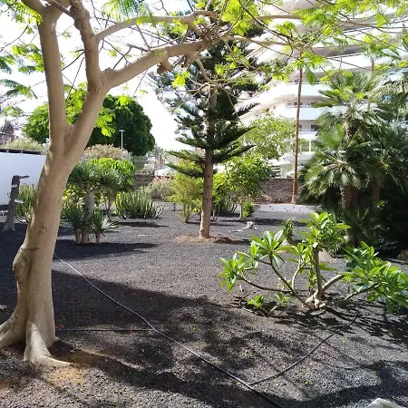 Vina Del Mar * Playa de las Americas (Tenerife)